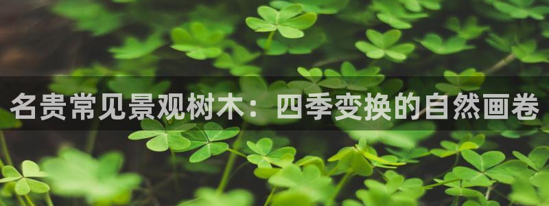 下载新宝gg:名贵常见景观树木:四季变换的自然画卷