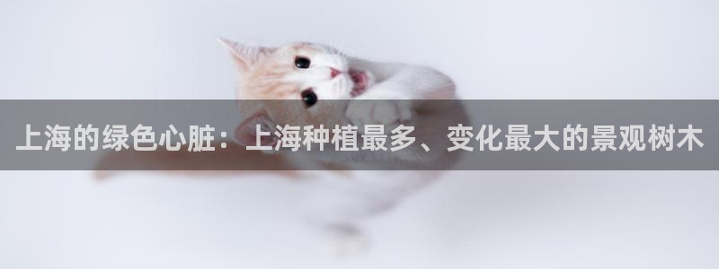 新宝GG苹果版:上海的绿色心脏:上海种植最多、变化最大的景观树木