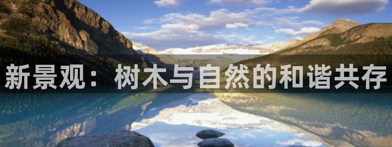 新宝gg正规:新景观:树木与自然的和谐共存