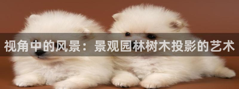 新宝gg软件:视角中的风景:景观园林树木投影的艺术